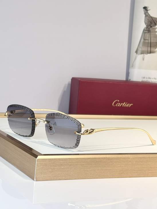 Picture of Cartier Sunglasses _SKUfw79683744fw